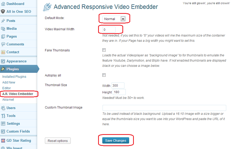 Advanced Responsive Video Embedder Settings